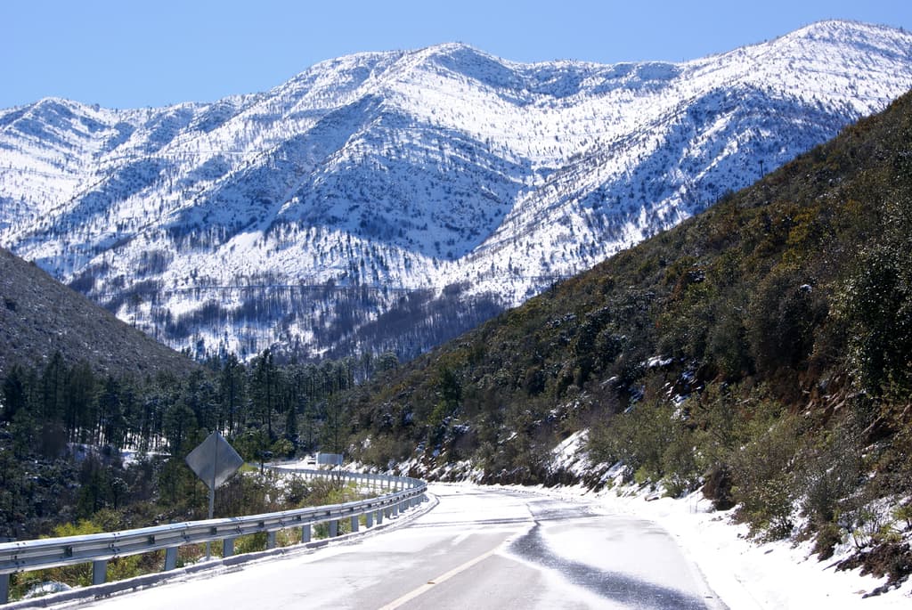 Coahuila en otoño: la Sierra de Arteaga y sus paisajes que parecen Europa en México